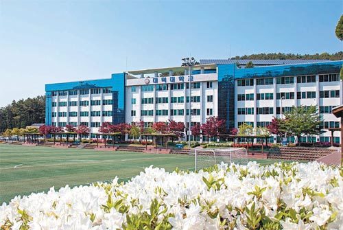 Tòa nhà chính và sân vận động của Đại học Daeduk mùa hoa nở